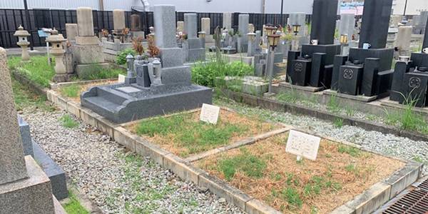 八尾市立安中墓地