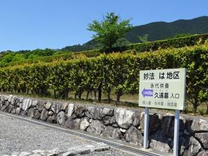 延暦寺大霊園の永代供養墓