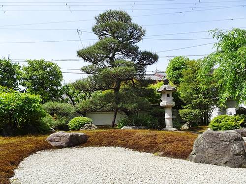 宝善院庭園