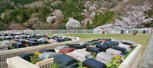 明治の森霊園の樹木葬