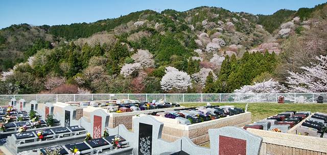 明治の森霊園ガーデニング樹木葬
