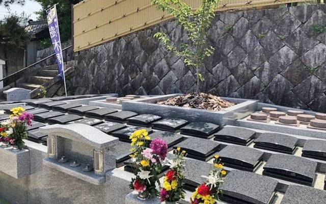 大阪府南河内郡の永代供養さくら樹木葬「澄光」（妙見寺墓地）
