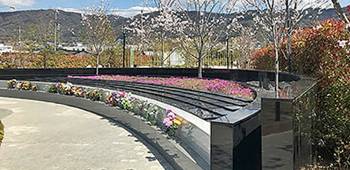 自然葬型樹木葬