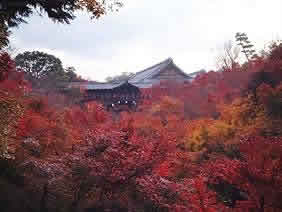 東福寺通天橋の紅葉