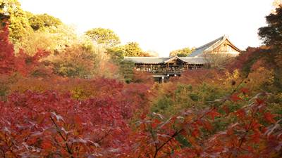 京都市東山区東福寺通天橋の紅葉