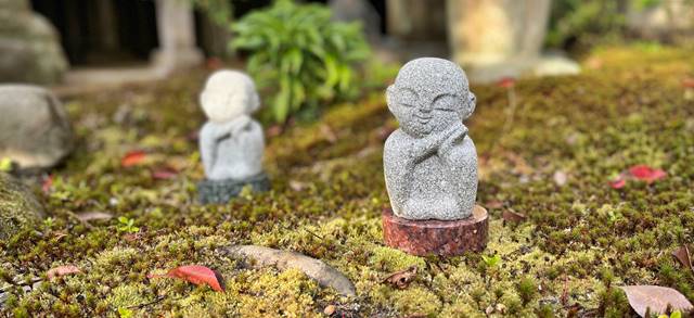 東福寺龍眠庵の樹木葬
