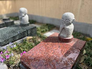 東福寺龍眠庵の樹木葬