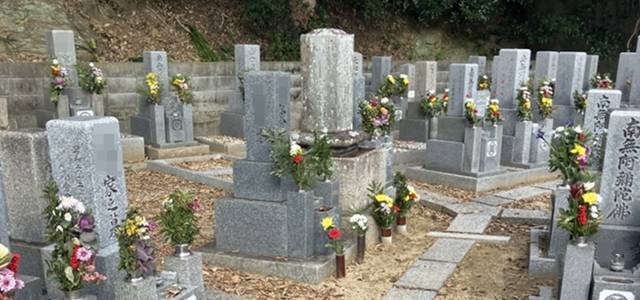 和歌山市の真光寺墓地