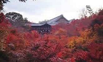 大本山東福寺
