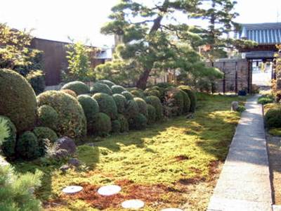 薬菌寺