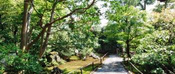 妙心寺養徳院
