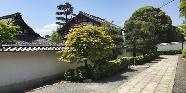 妙心寺養徳院