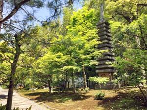 妙心寺養徳院