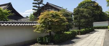 妙心寺